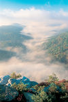 山景