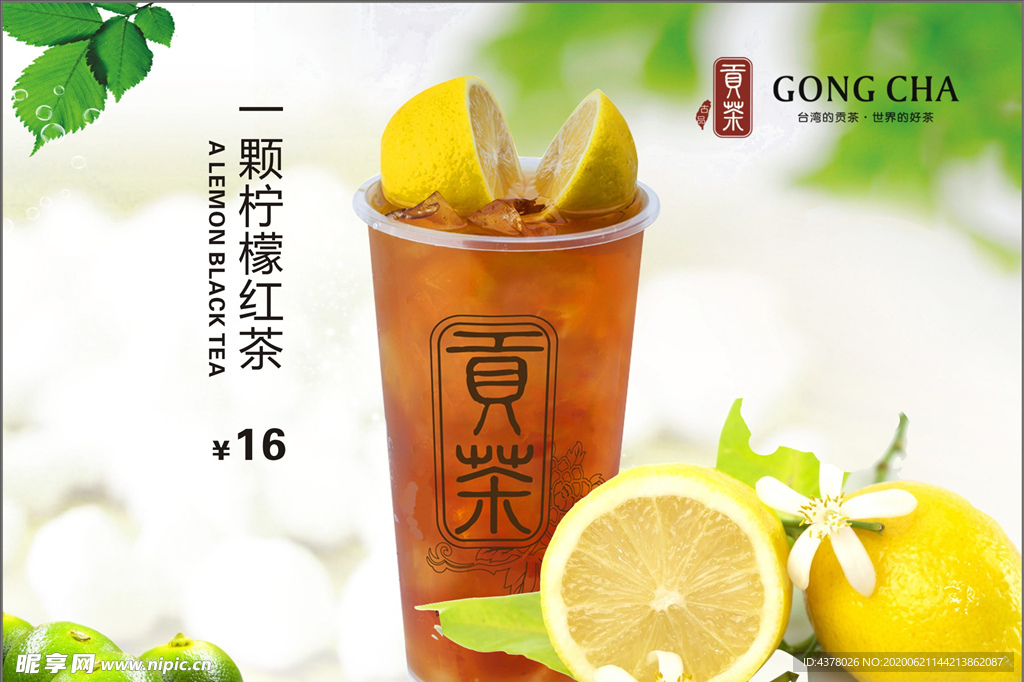 贡茶