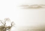 山水