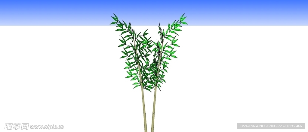 竹子skp模型