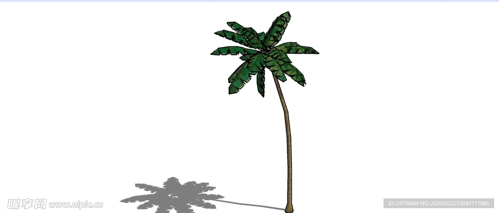 椰子树skp模型