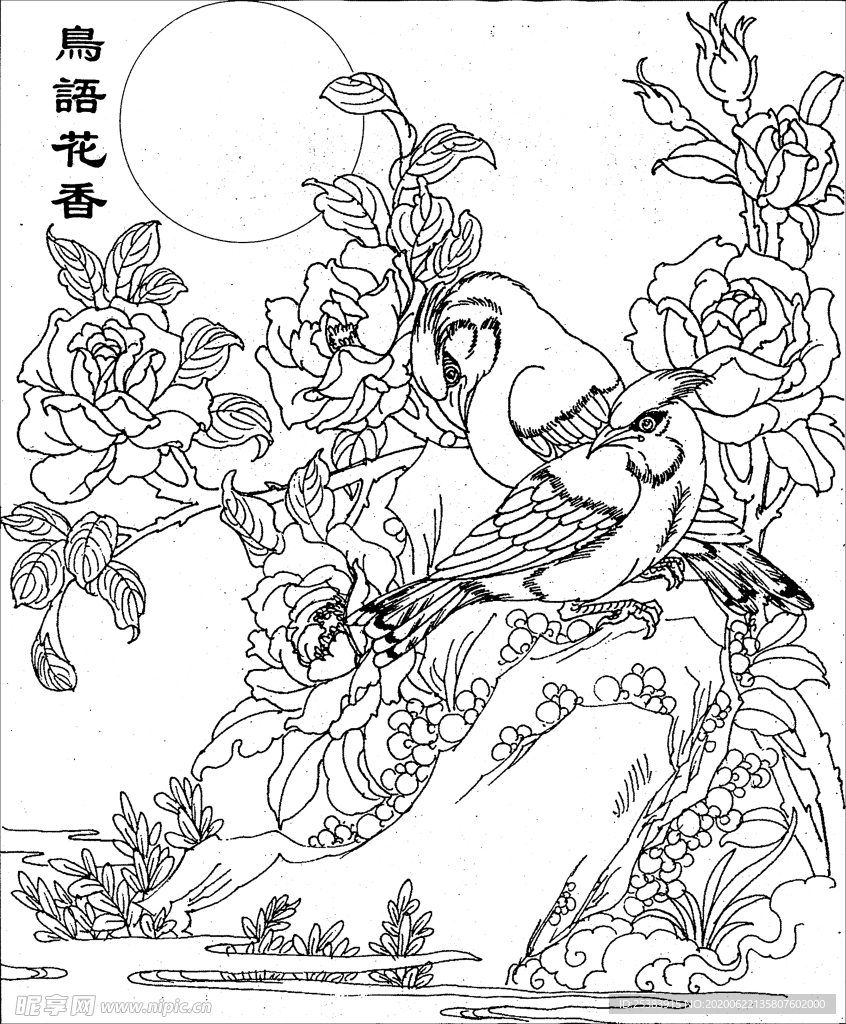 鸟语花香