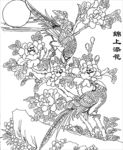 锦上添花