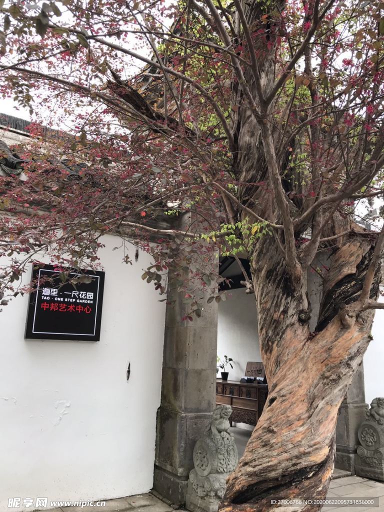 公园摄影
