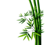 竹子