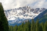 山坡