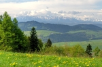 山坡