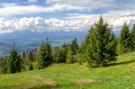 山坡