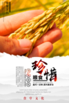 珍惜粮食海报