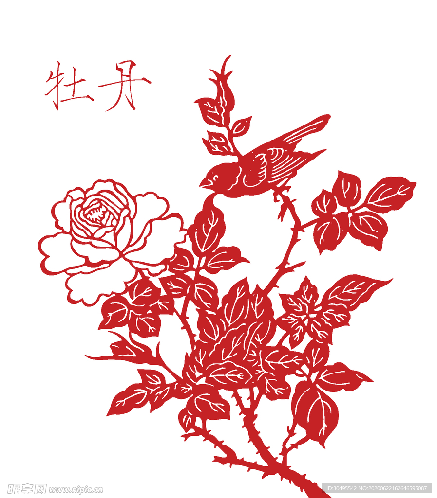 牡丹