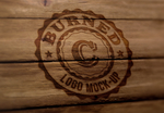LOGO样机