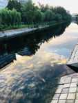 小河水垂柳倒影