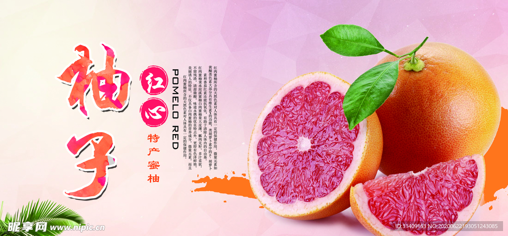 柚子海报