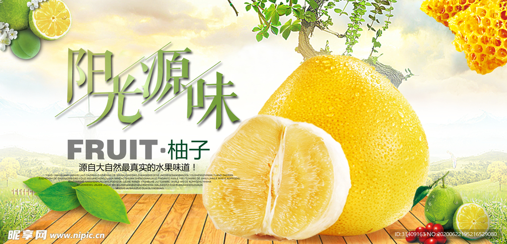 柚子海报