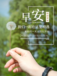 早安