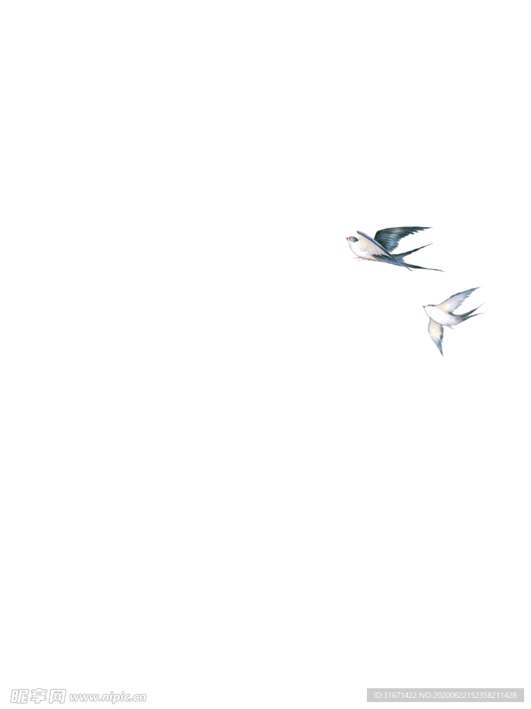 燕子插画