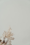 花草