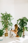 植物