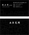 灰黑文化