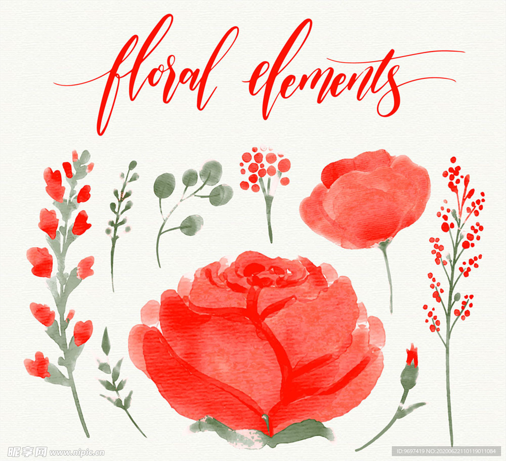 水彩绘红色玫瑰花卉和树叶矢量图