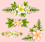 白色鸡蛋花和棕榈树叶花边矢量图
