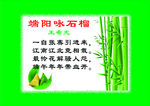 端午  古诗