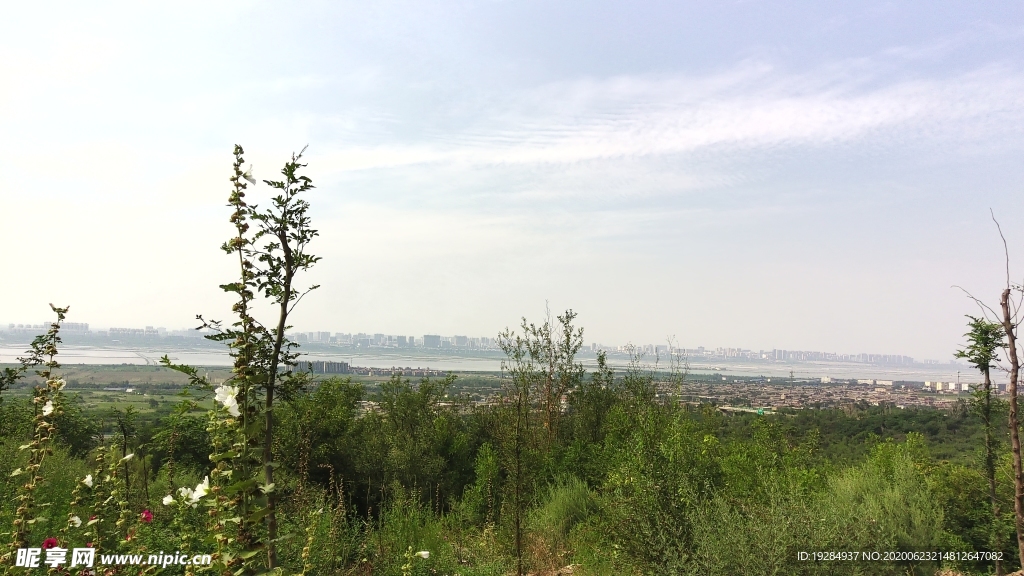 天空 草地