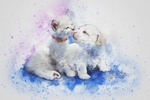 插画猫与狗