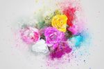 插画花