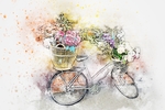 插画自行车