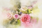 插画花