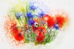 插画花