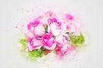 插画花