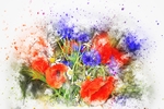 插画花