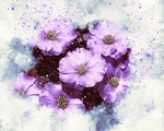 插画花