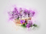 插画花