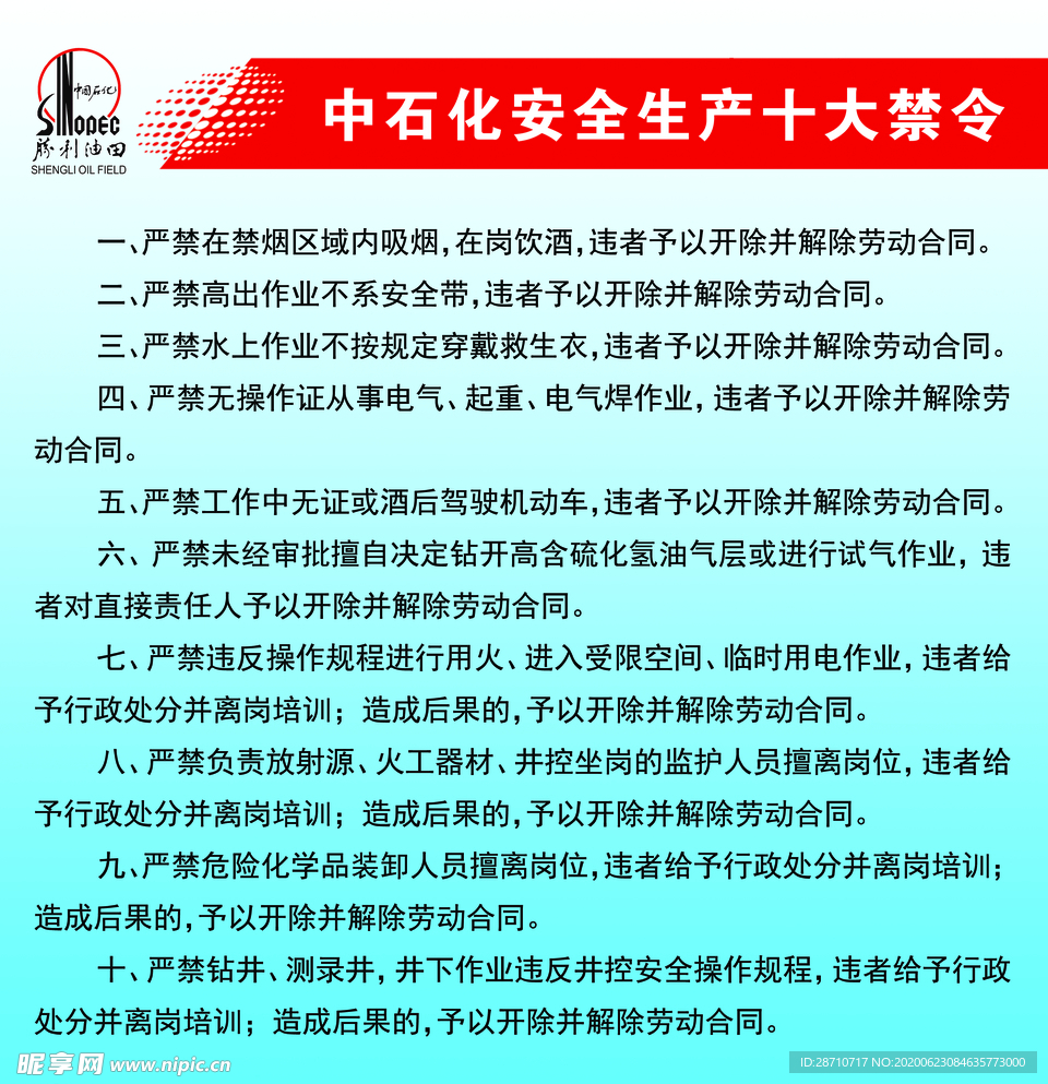 深入解析禁令背后原因及影响 (深入解析禁令有哪些)