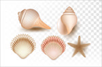 海螺