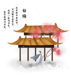 白梅