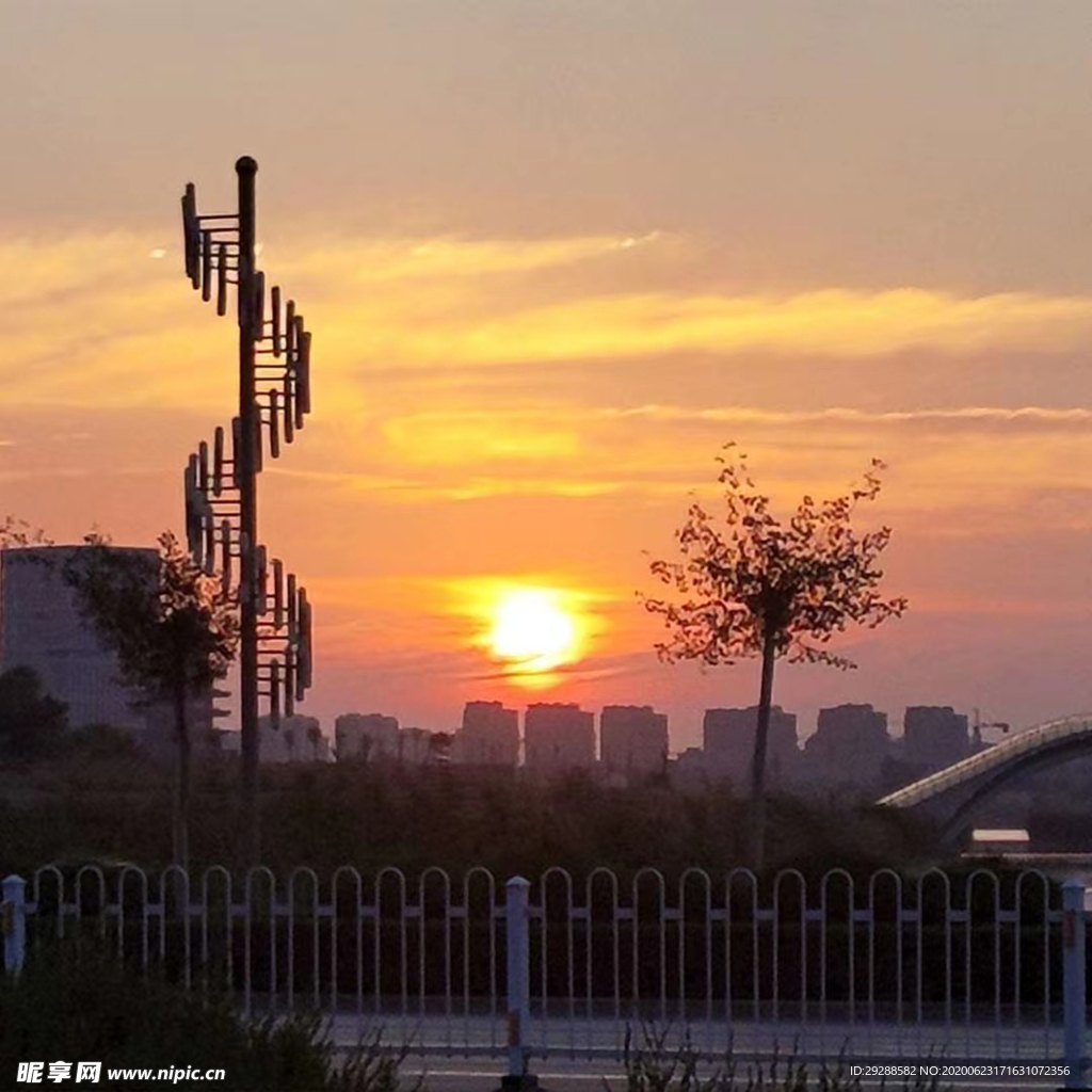 日出 街道 城市 建筑