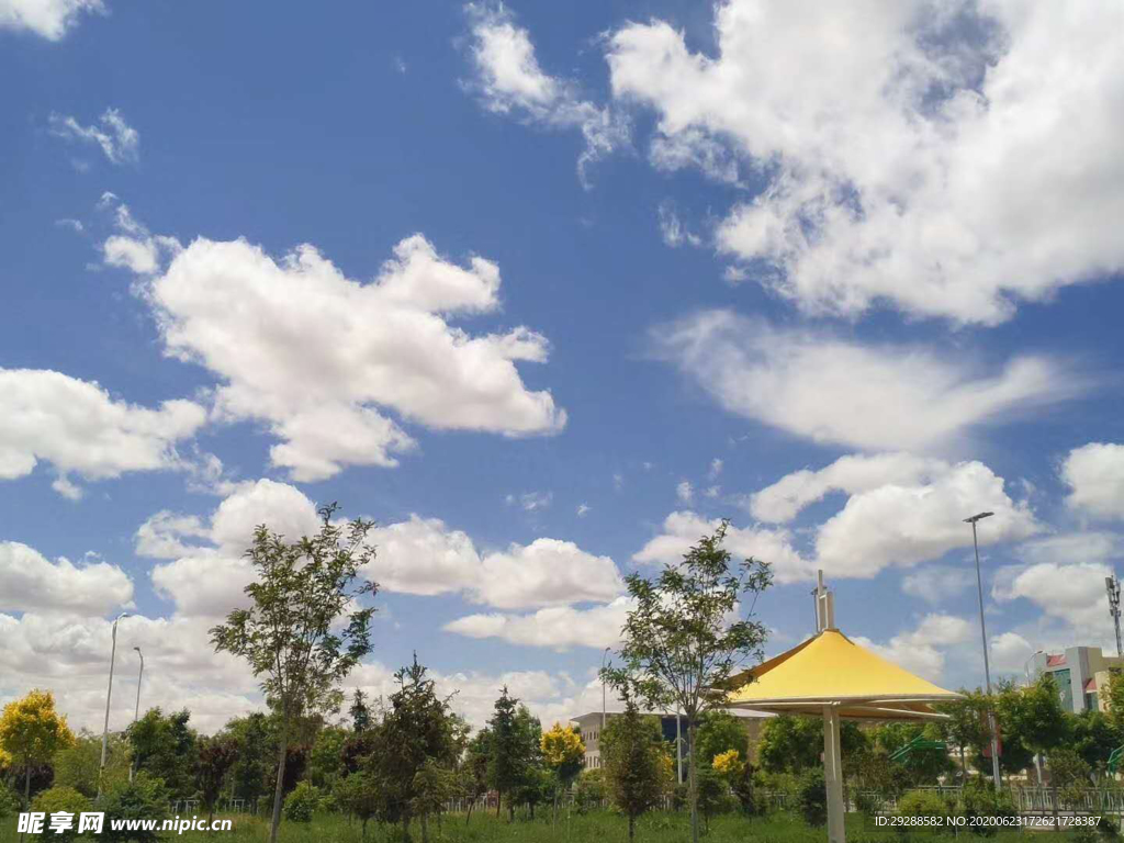 湿地公园 蓝天白云