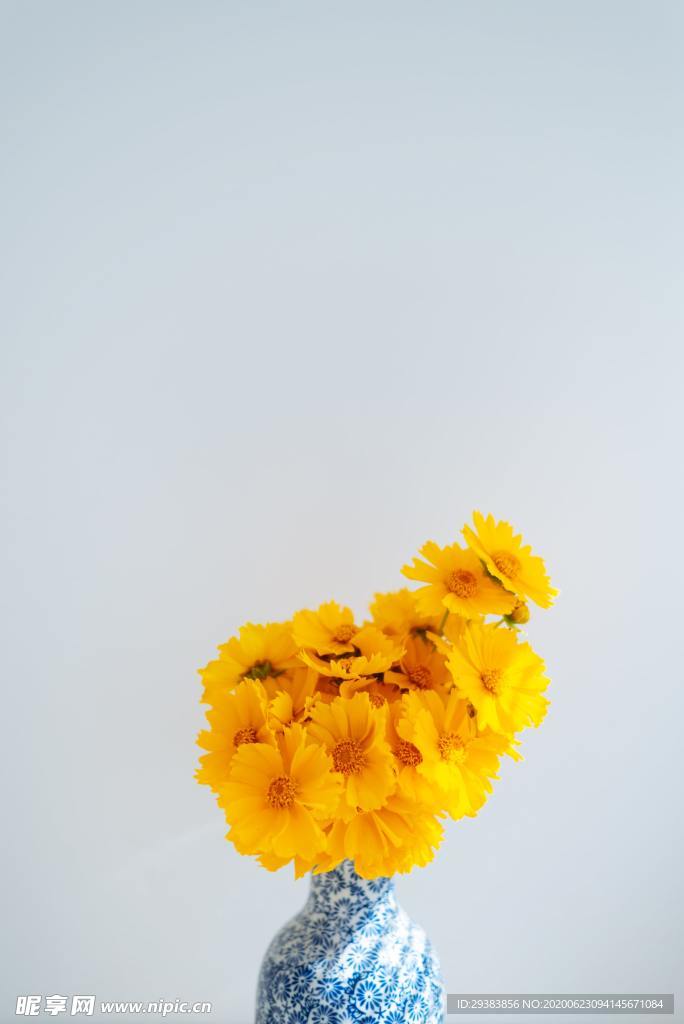 花朵