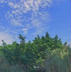 天空