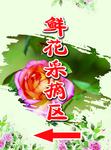 鲜花采摘区