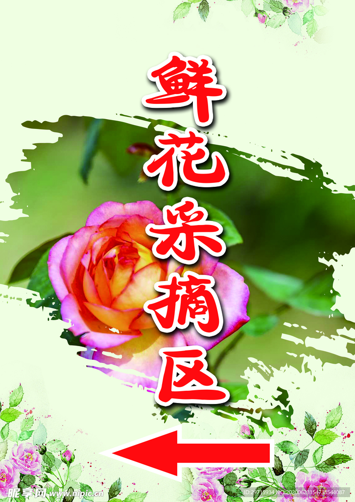 鲜花采摘区
