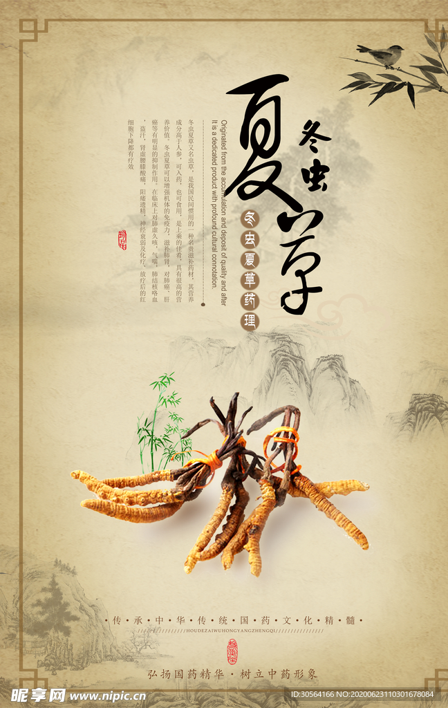 冬虫夏草药材国风复古宣传海报