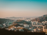 城市