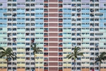 城市