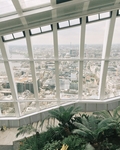 城市