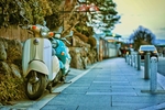 城市